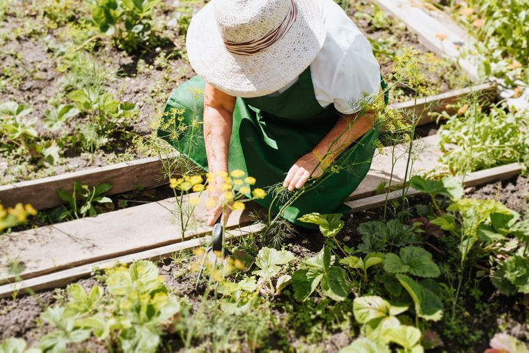 Gardener with a garden hat Gardener with a garden hat