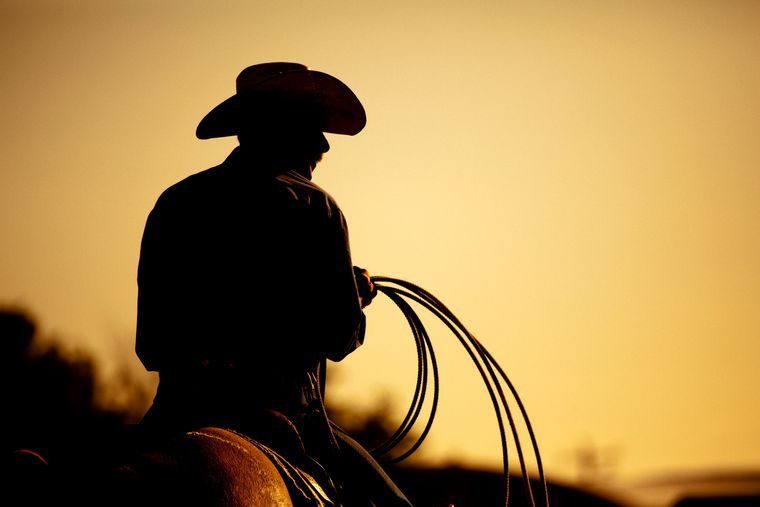Cowboy with hat on horse Cowboy with hat on horse