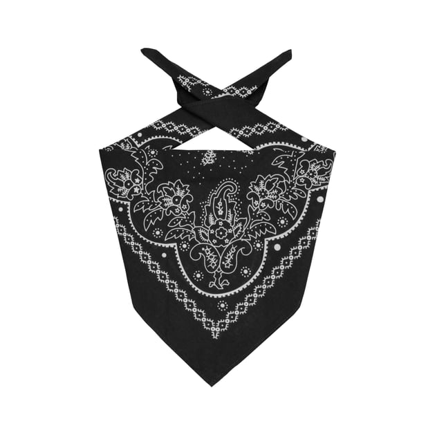 Classic Paisley Bandana by Levi�s�