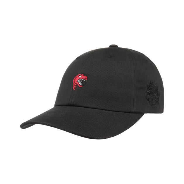 Raptors cap online