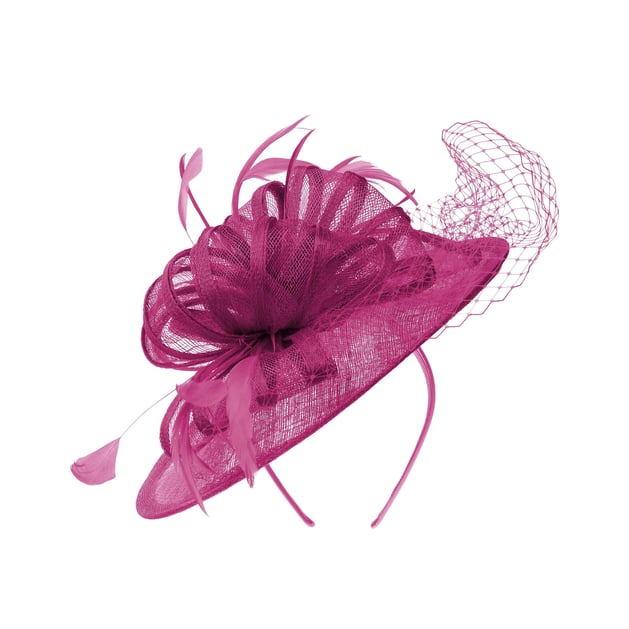 Feathers and Veil Fascinator by McBURN