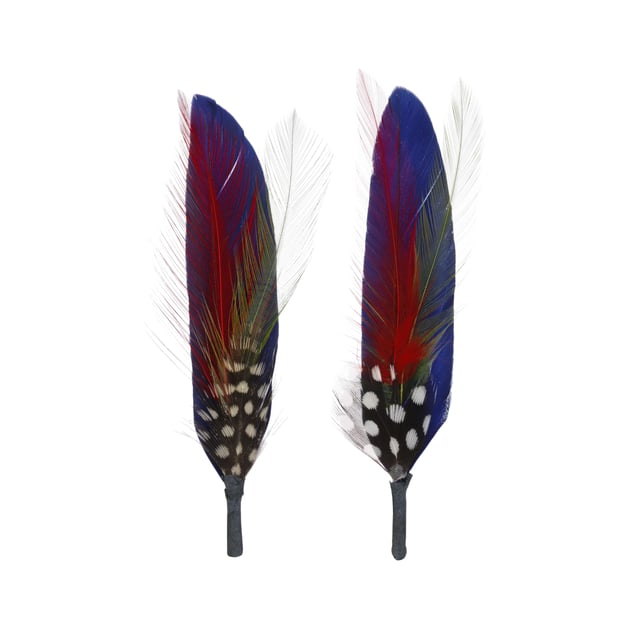 Set of 2 Feathers by Stetson