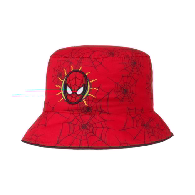Spiderman Boys Kids Hat