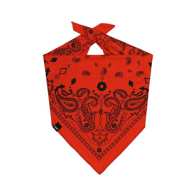 Tec Paisley Red Bandana by H.A.D.