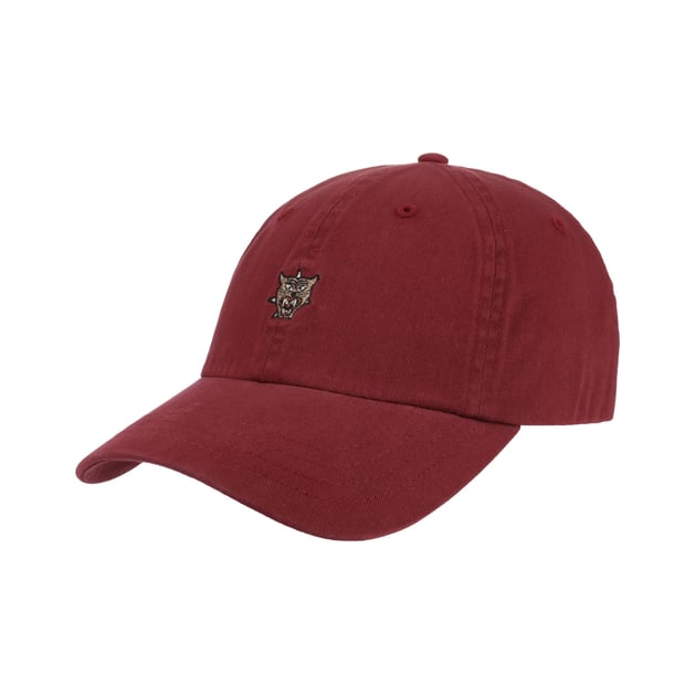 Tisdale Strapback Cap by DC Shoes Co