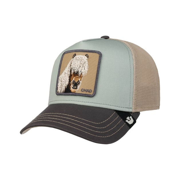 Tricolor Horse Cap by Goorin Bros.